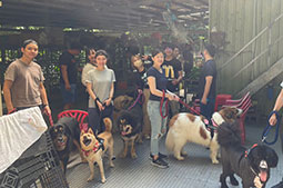 毛小孩幸福聯盟協會志工服務